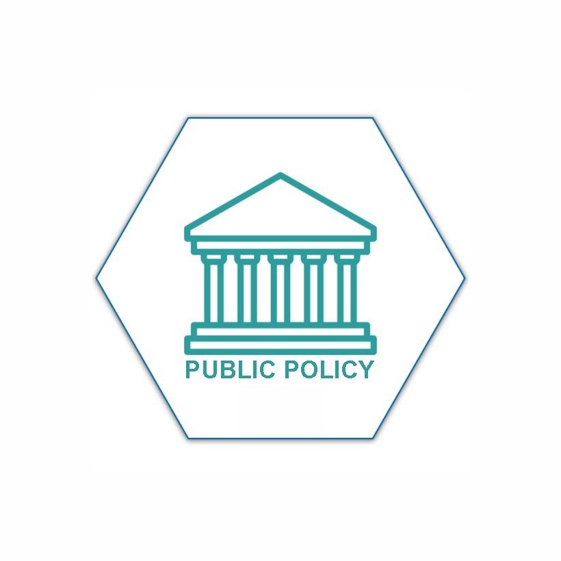 Public&#x20;Policy
